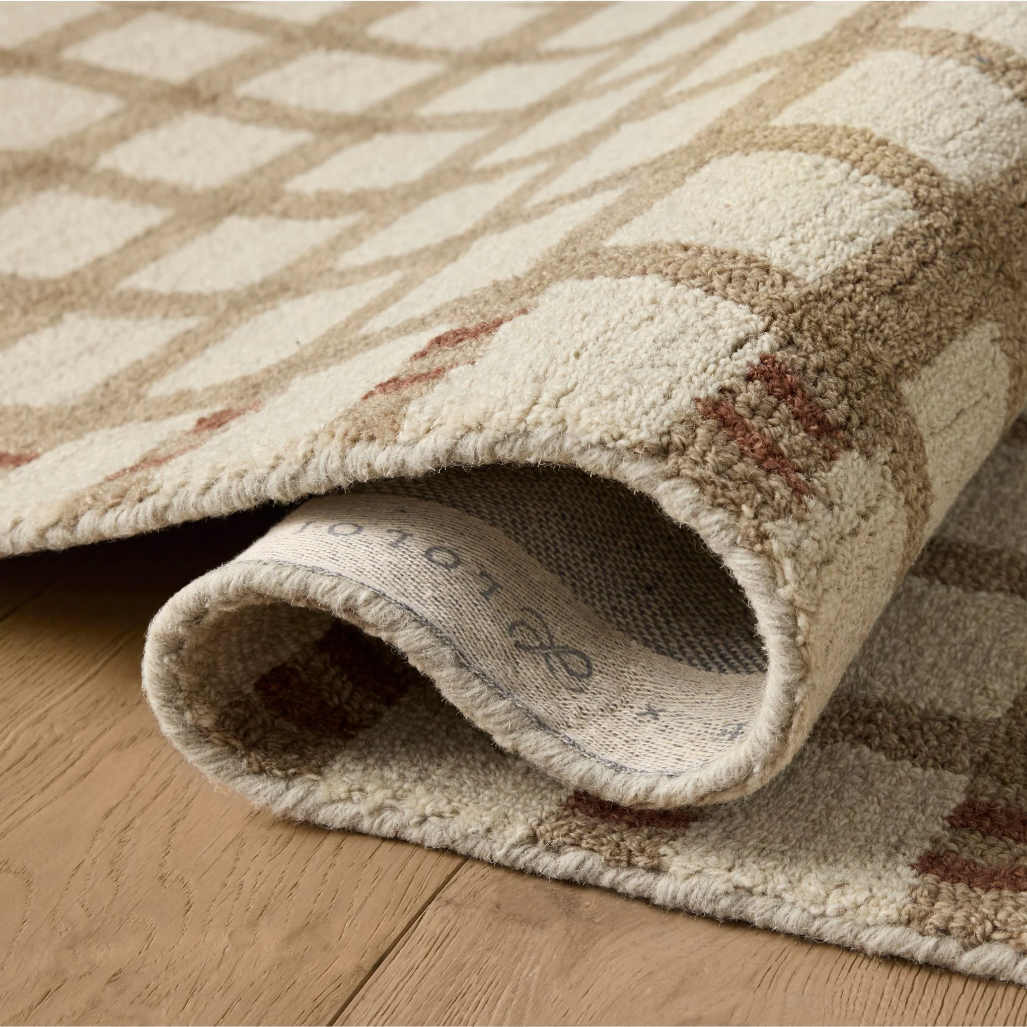 Waylon Natural Rust Rug - Image 4