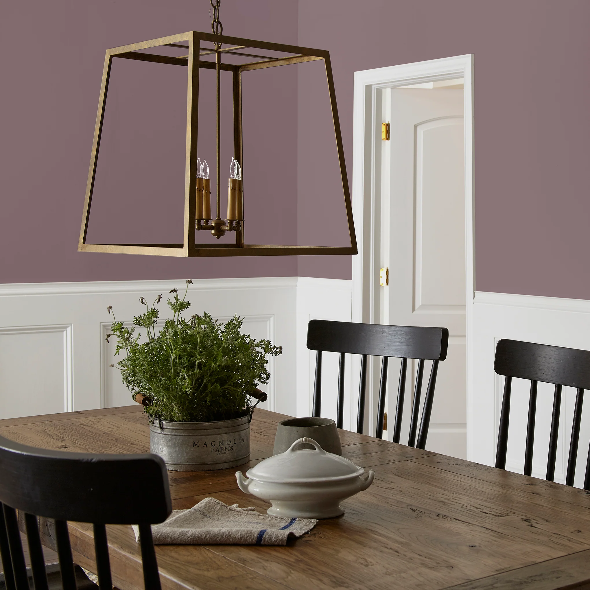 Webster Avenue  -  Premium Interior Paint - Image 5