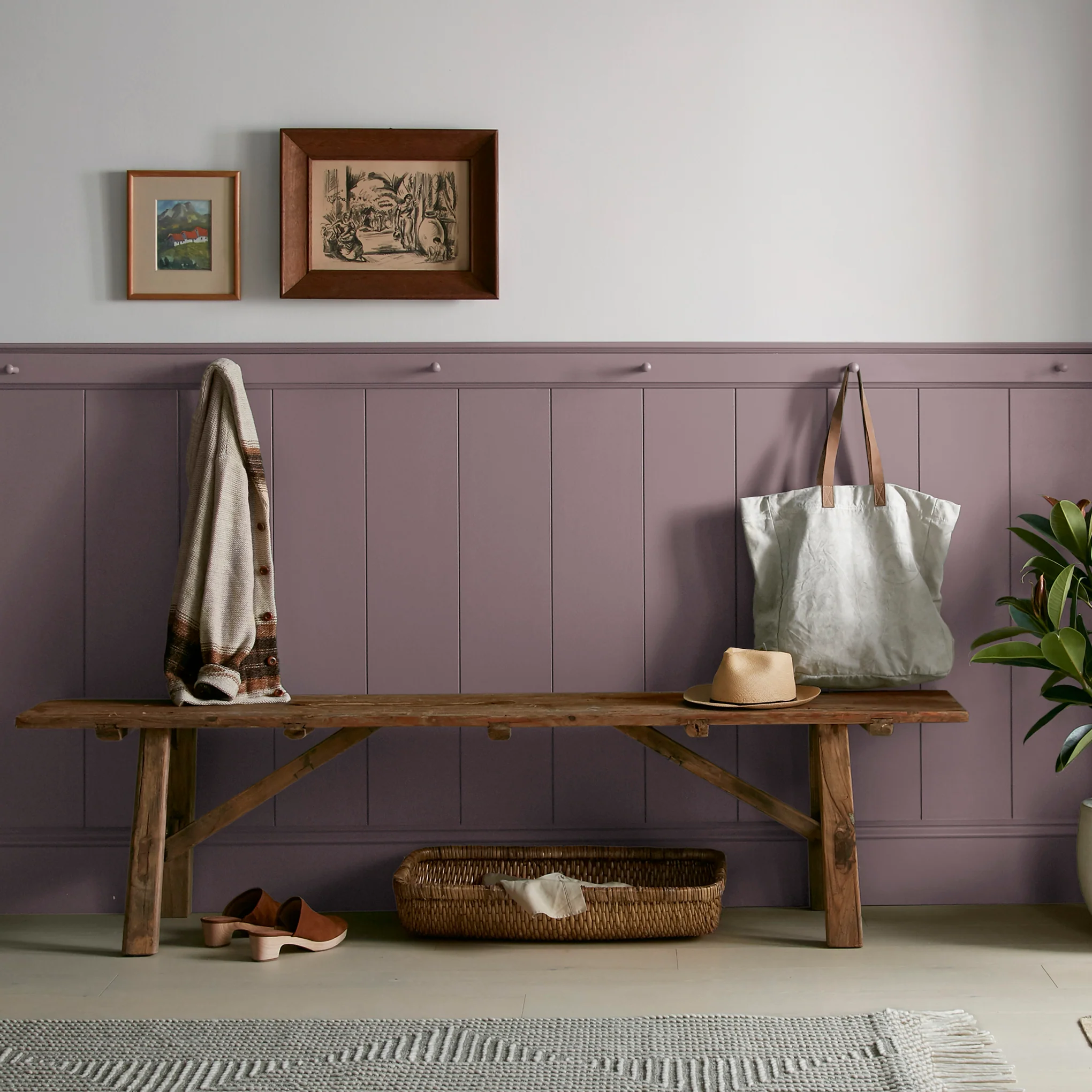 Webster Avenue  -  Premium Interior Paint - Image 6